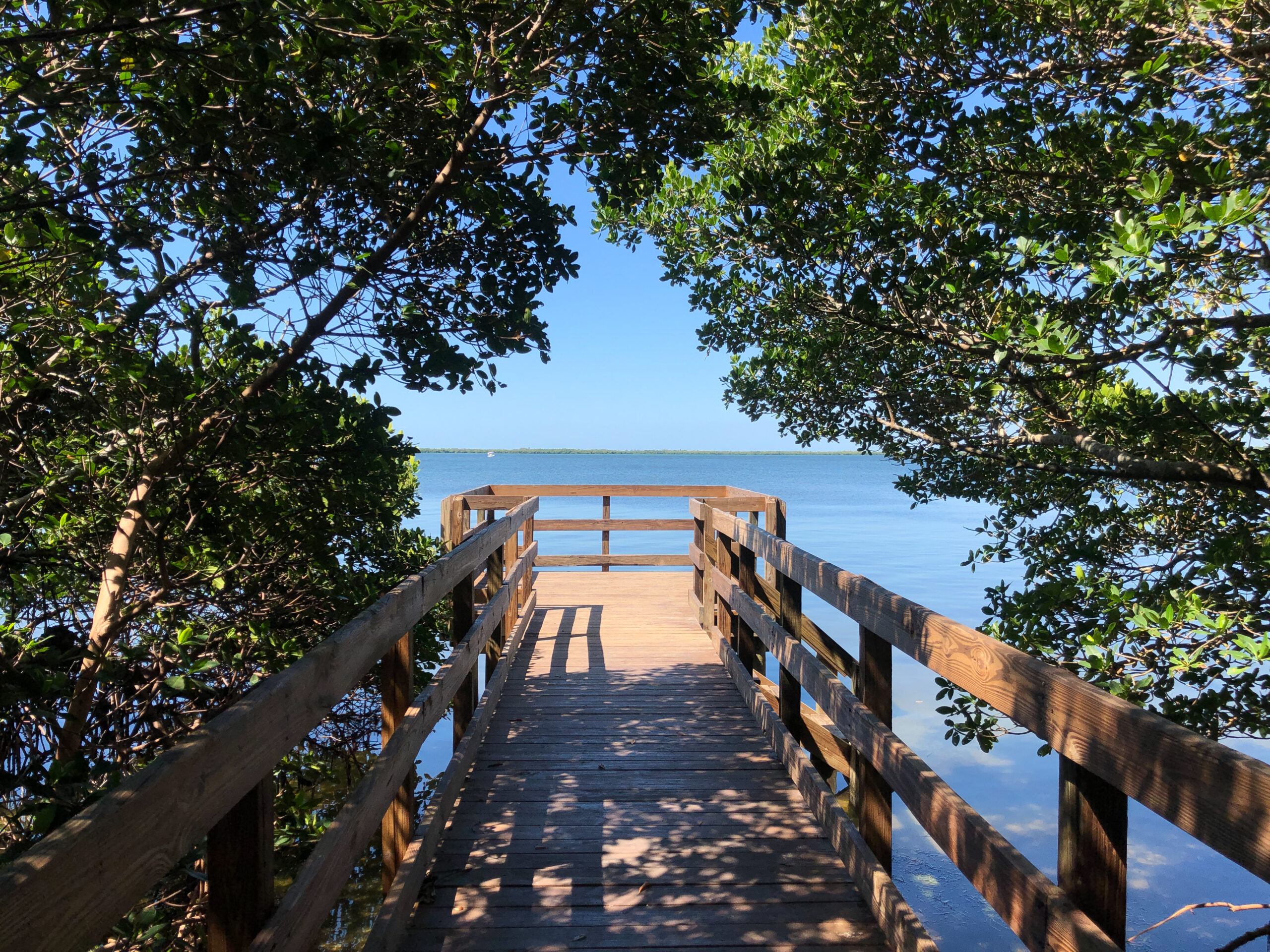 Emerson Point Preserve | Palmetto, FL | Nature Preserve